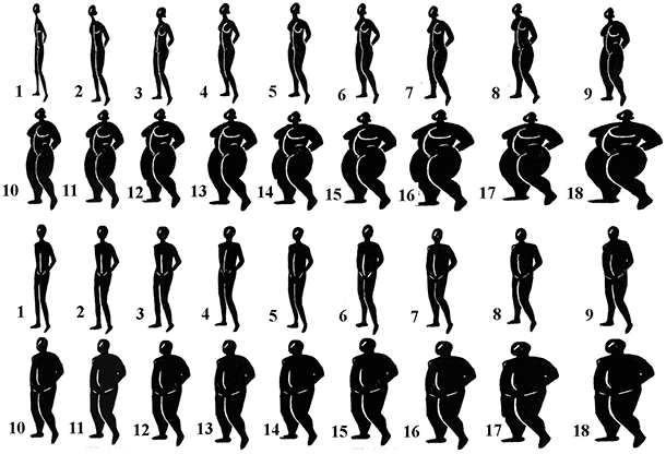 Fichier:Body images for obesity.png