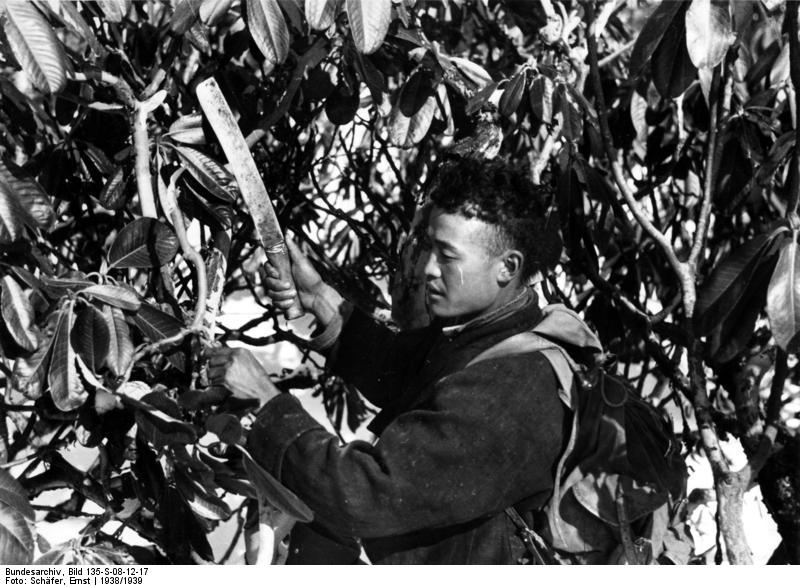 File:Bundesarchiv Bild 135-S-08-12-17, Tibetexpedition, Verfolgung einer Fährte.jpg