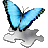 File:Butterfly template.png