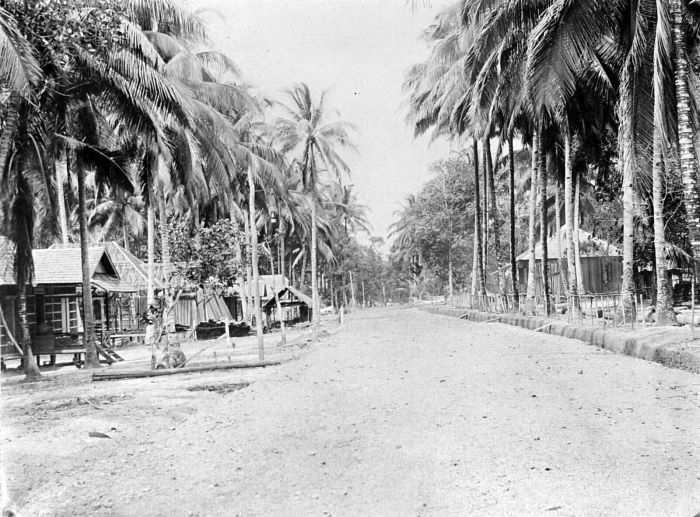 File:COLLECTIE TROPENMUSEUM Kampong Lalang TMnr 10007158.jpg