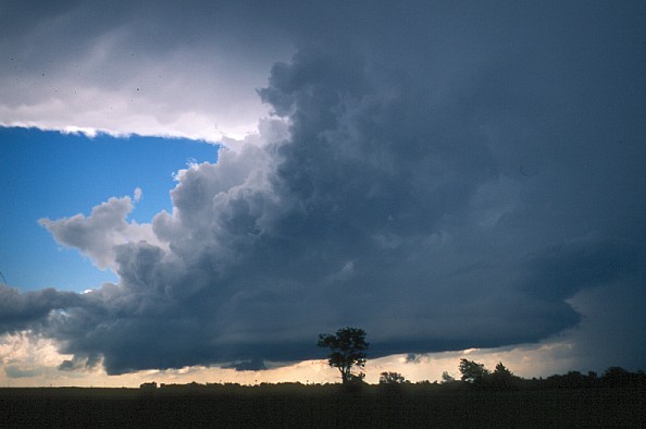 File:Cumulonimbus-tav.jpg