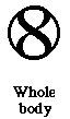 Motif sign
for Whole Body Developmental organisation1-WHOLE-BODY.jpg