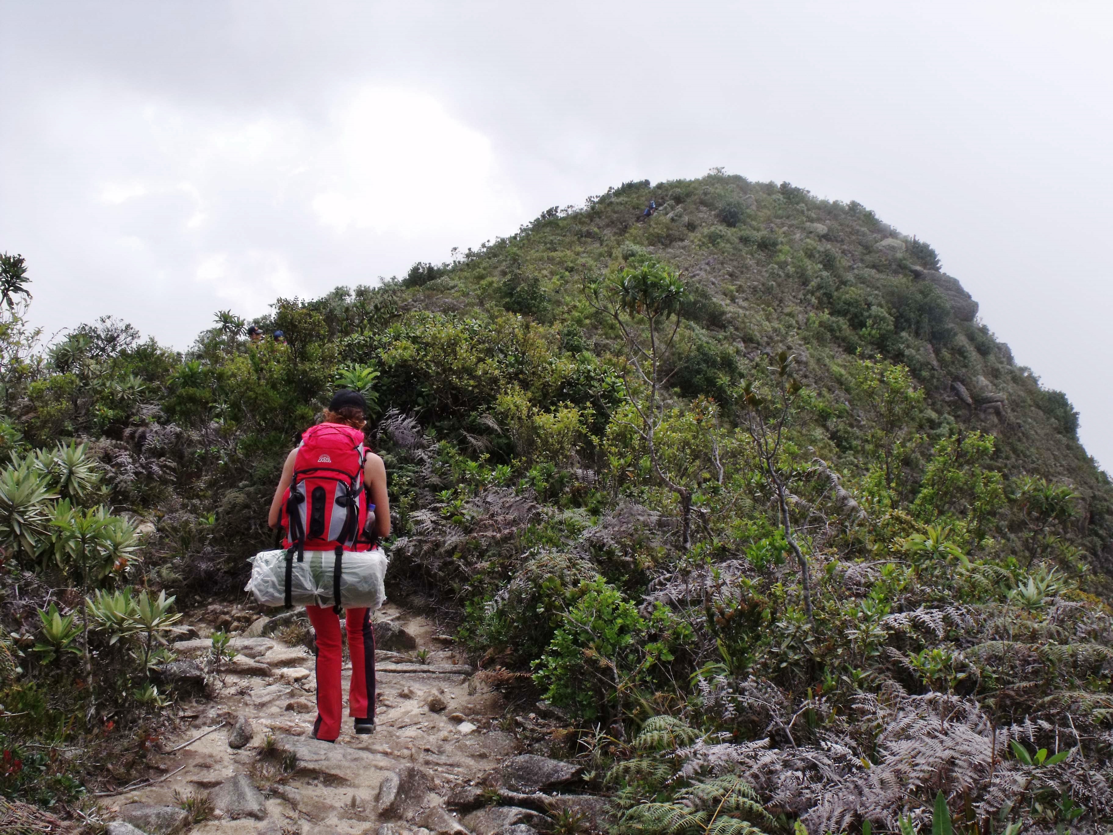 Senderismo y trekking: el botiquín ideal. - Club Senderismo de