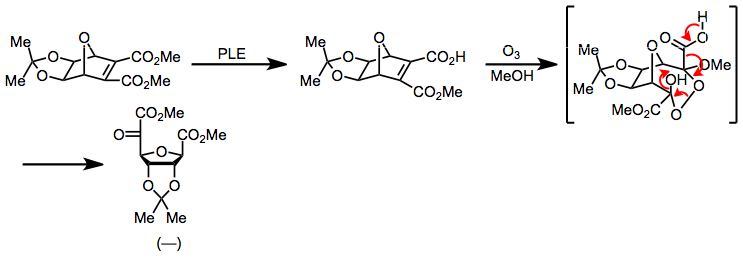 File:EsteraseSynth2.png