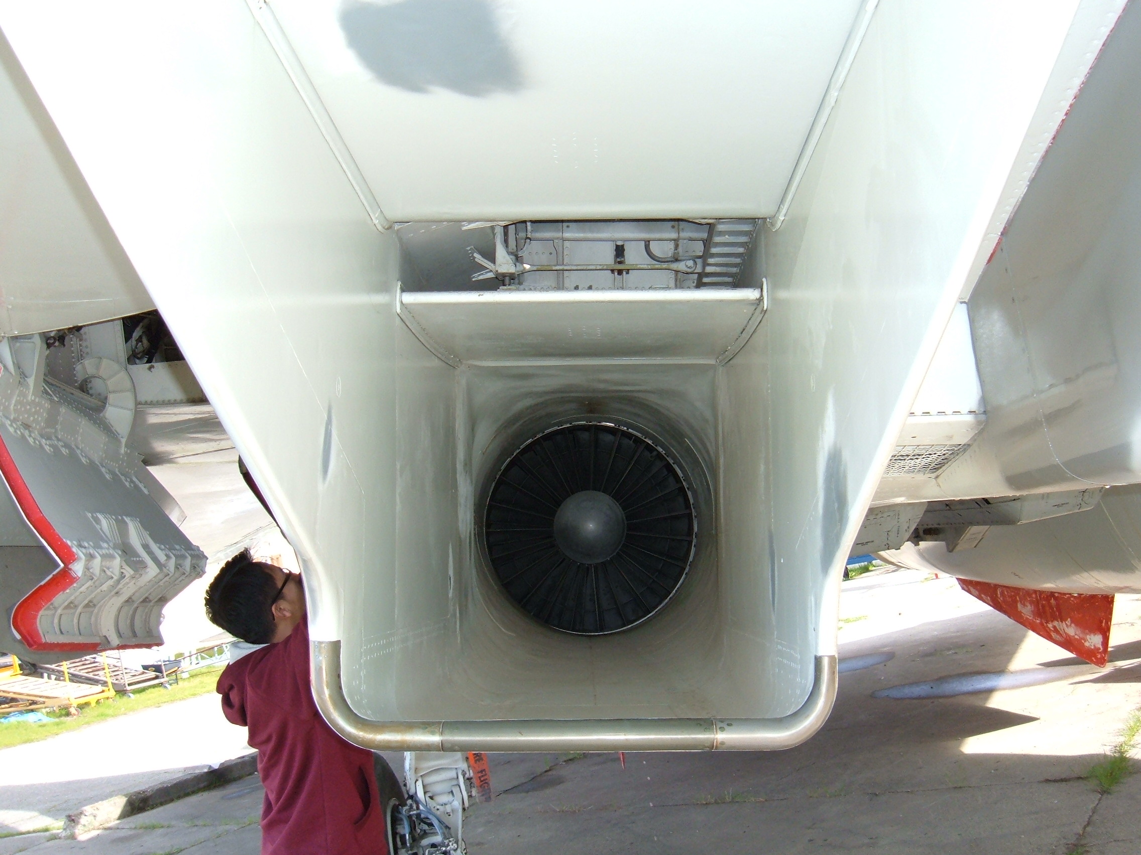 F-14A_Tomcat_starboard_engine.JPG