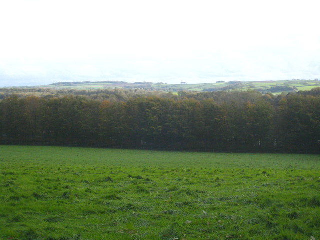 File:Field at Liftondown - geograph.org.uk - 2687251.jpg