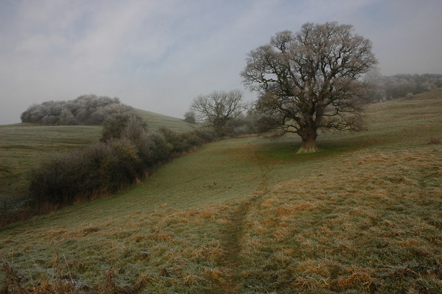 Footpath to Haresfield Beacon - geograph.org.uk - 1123659