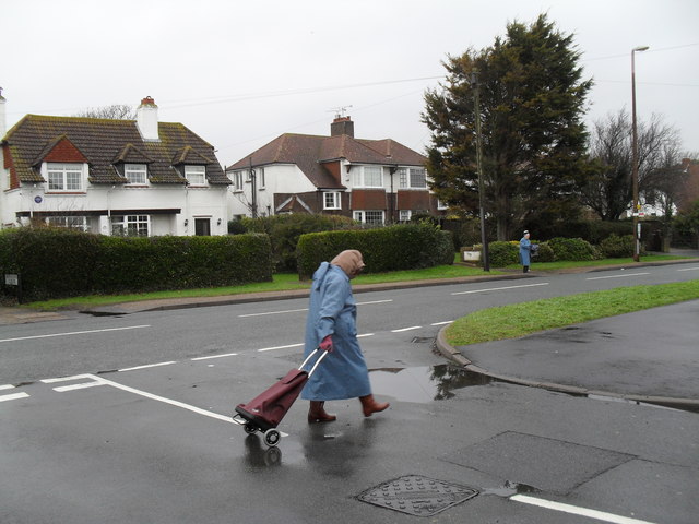 File:Junction of Shaftesbury Road and Sea Lane - geograph.org.uk - 1670229.jpg