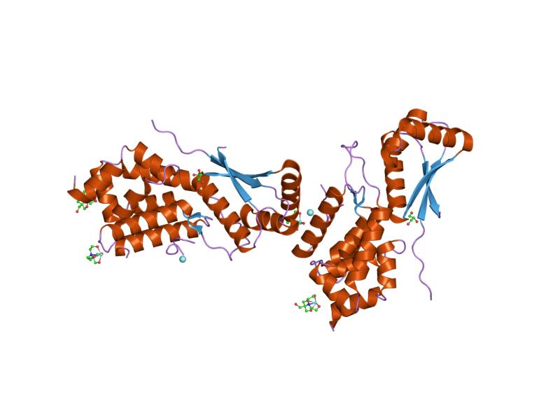 Домен доменные белки. Адаптерный белок. Эндопептидазы. Белок адаптер это биохимия. Эндопептидазы биохимия.