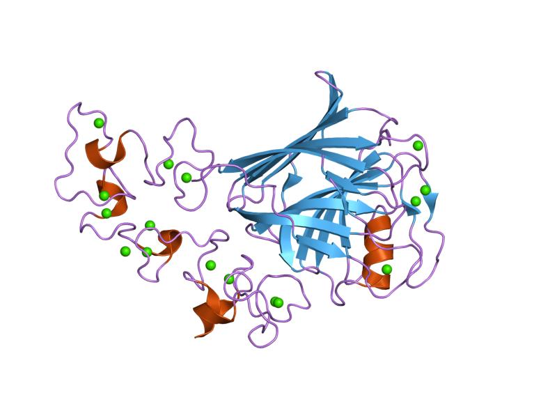 File:PDB 1ux6 EBI.jpg