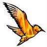 File:Phoenix-Programming-Language-Logo.jpeg