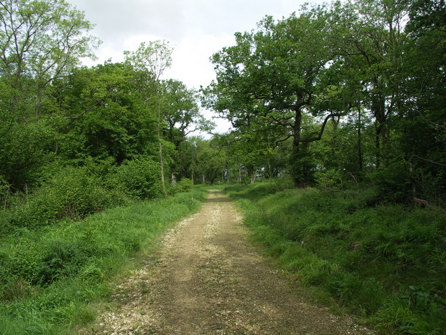 Pipewell Woods