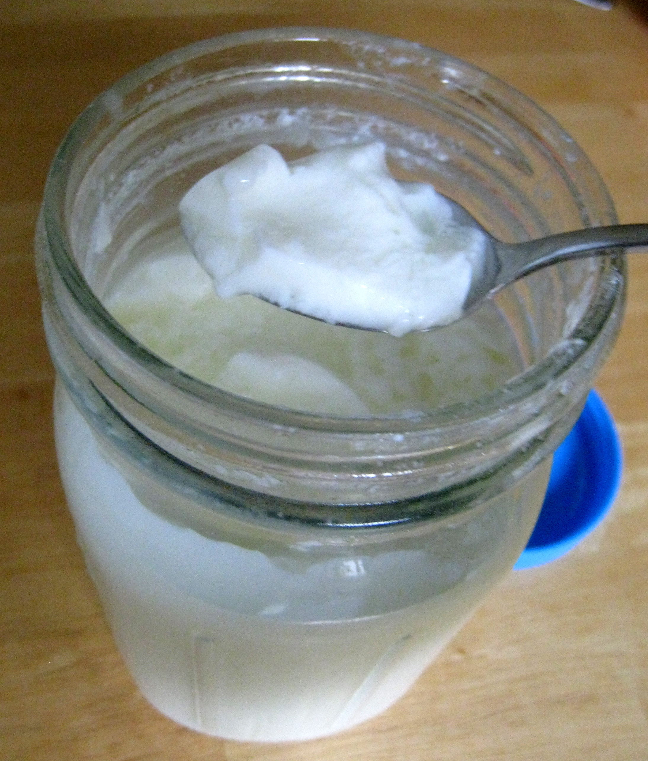 File:Sampling finished yogurt.jpg - Wikibooks, manuali e libri di testo  liberi