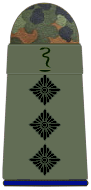 File:SanH 231-Stabsapotheker.png