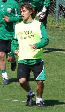 File:Seba fern.JPG