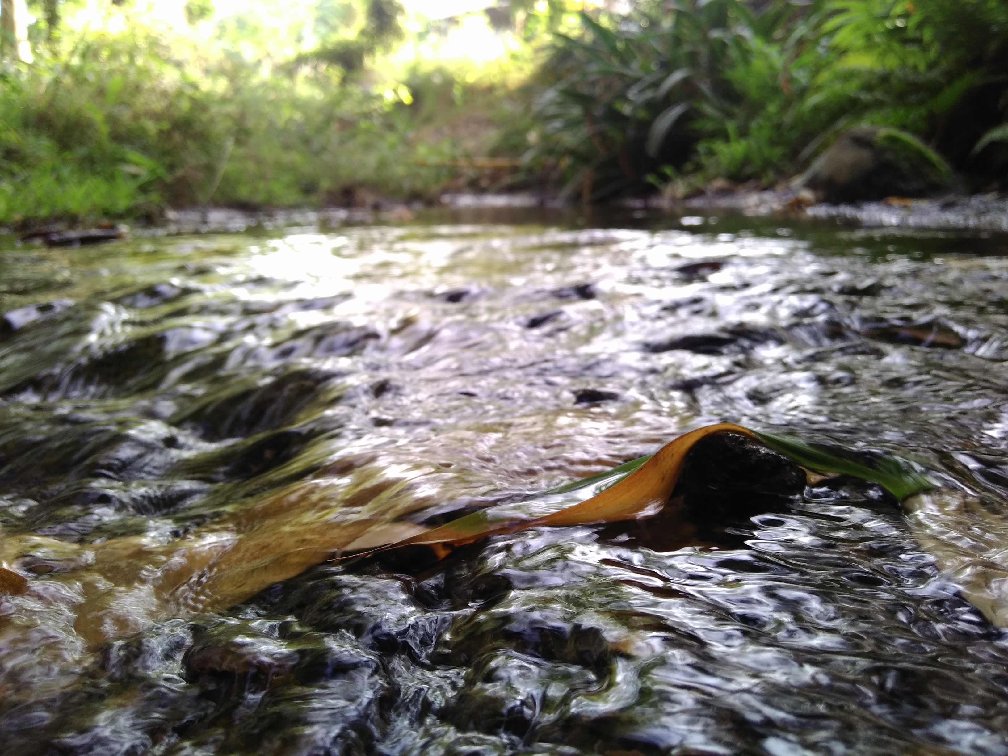 slow flowing river