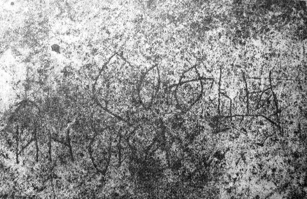 File:Sofia Vitovtovna grave inscription.jpg