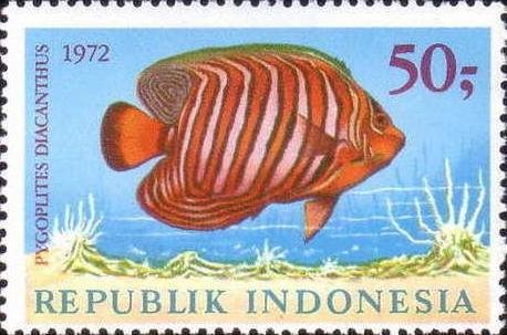 File:Stamp of Indonesia - 1972 - Colnect 257443 - Regal Angelfish Pygoplites diacanthus.jpeg