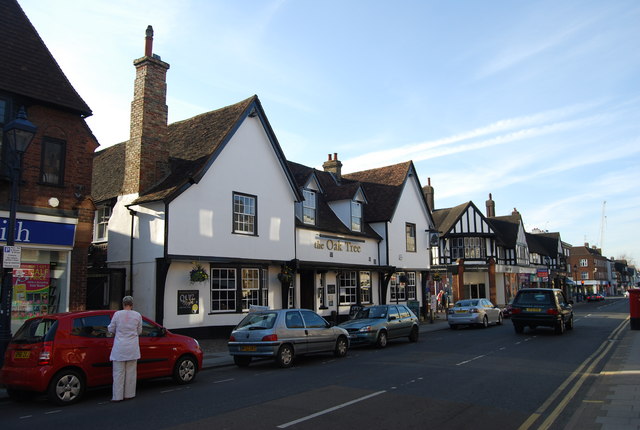 File:The Oak Tree - geograph.org.uk - 2496227.jpg