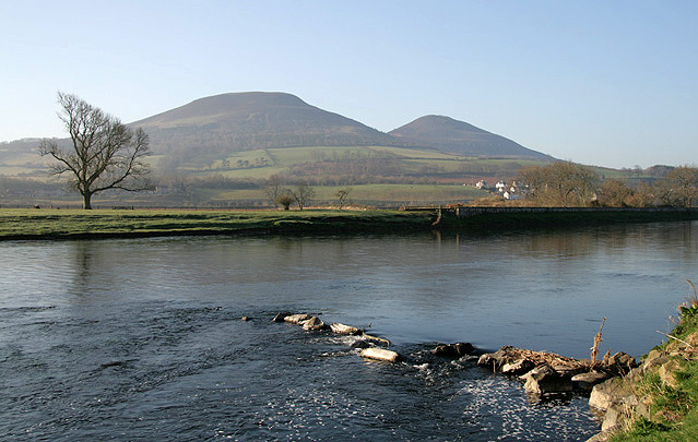 The River Tweed at Gattonsidehaugh - geograph.org.uk - 1234993