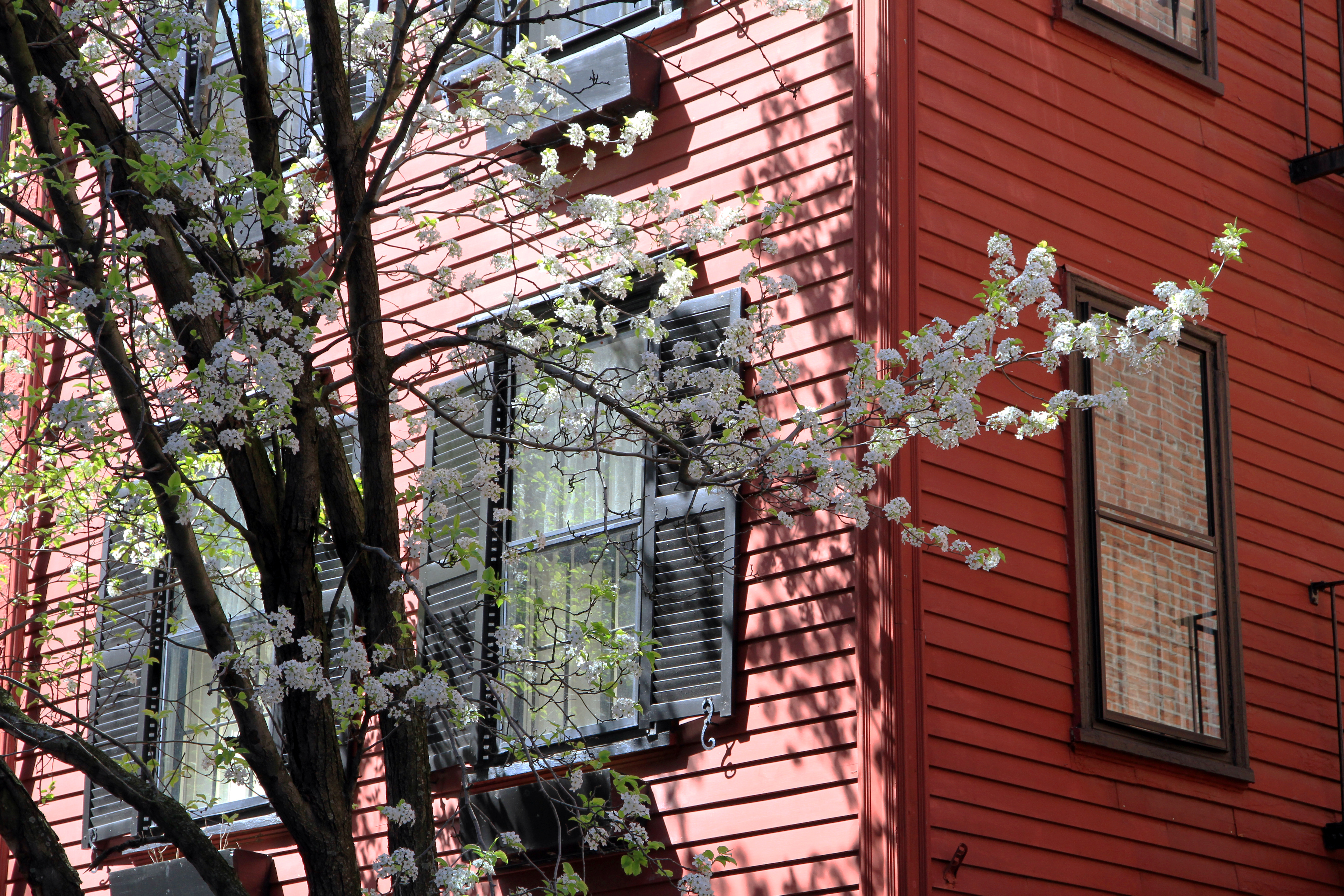 Beacon Hill (Boston) — Wikipédia