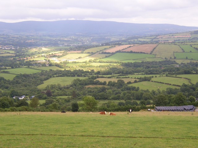 File:View from lane near Glencoum Wood, near Graiguenamanagh, Co. Kilkenny - geograph.org.uk - 213418.jpg