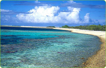 File:A beach on Acadia Island, Ducie Atoll, Pitcairn Islands.jpg