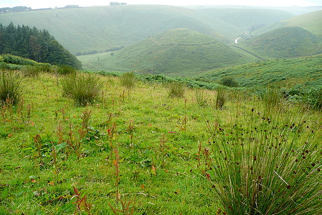 File:Above Cow Castle - geograph.org.uk - 1987736.jpg