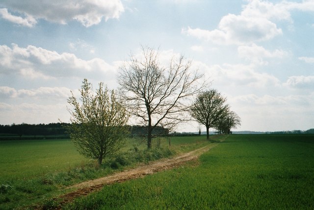 File:Akeman Street, Oxfordshire Way - geograph.org.uk - 190239.jpg