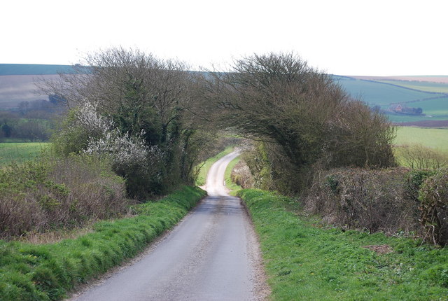 File:An arch of trees^ - geograph.org.uk - 763045.jpg