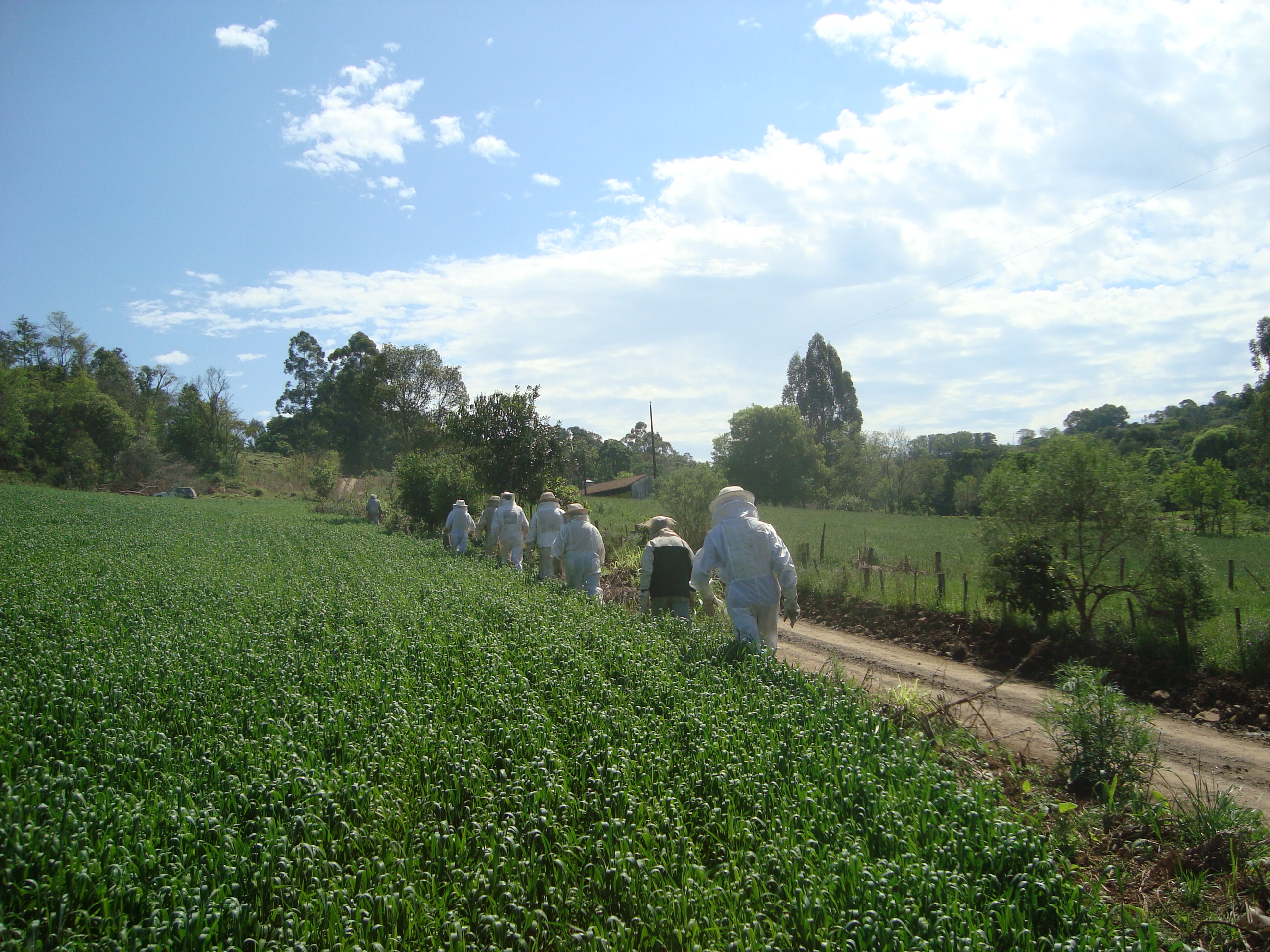 PDF) Desenvolvimento rural e processos sociais nas ciências