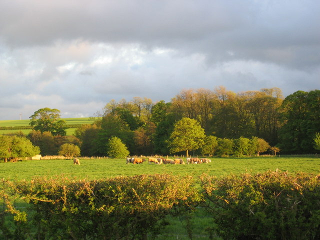 File:Autumn Meadows at Nunnington Hall - geograph.org.uk - 1143110.jpg