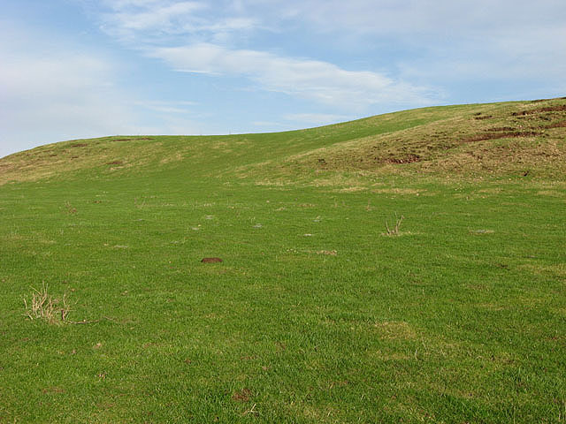 Bemersyde Hill - geograph.org.uk - 685957