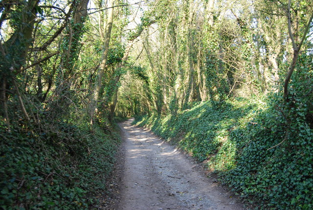 File:Bridleway, Holt Bottom (4) - geograph.org.uk - 1823460.jpg