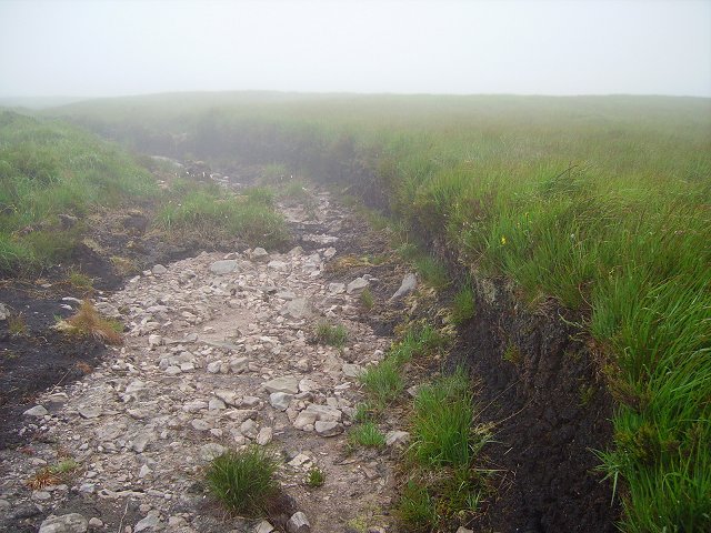 File:Cappaghabaun Mountain - geograph.org.uk - 293837.jpg