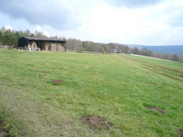 File:Chatsworth Park - Path View approaching New Piece Wood - geograph.org.uk - 766415.jpg