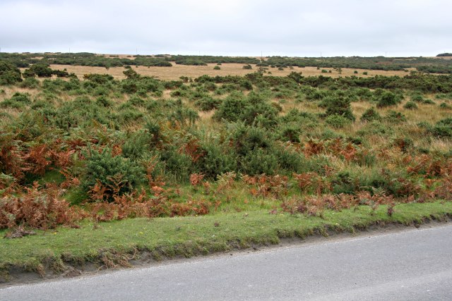 File:Crownhill Down - geograph.org.uk - 252438.jpg