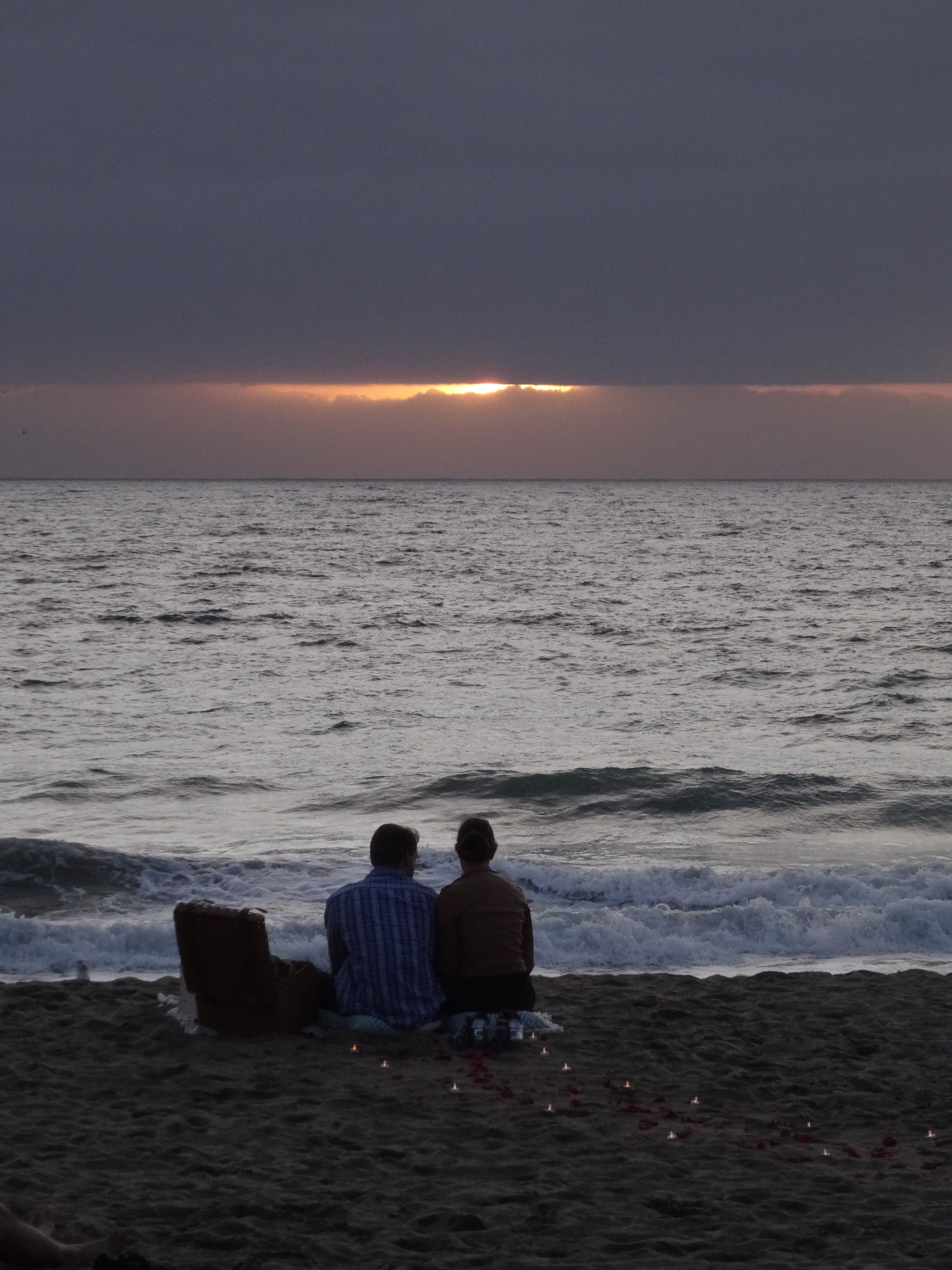 Filedemande En Mariage Sur La Plage De Malibu 03jpg