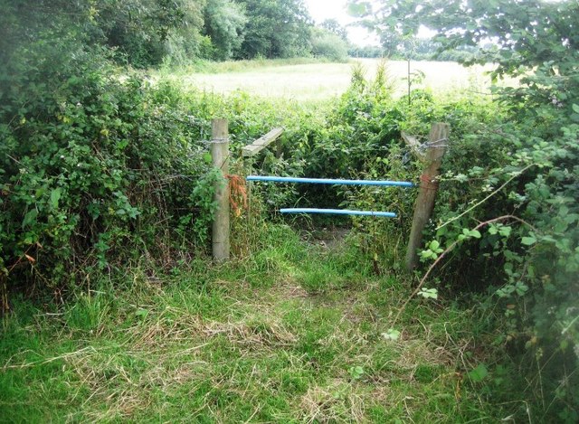 File:Does the path go here^ - geograph.org.uk - 4092023.jpg