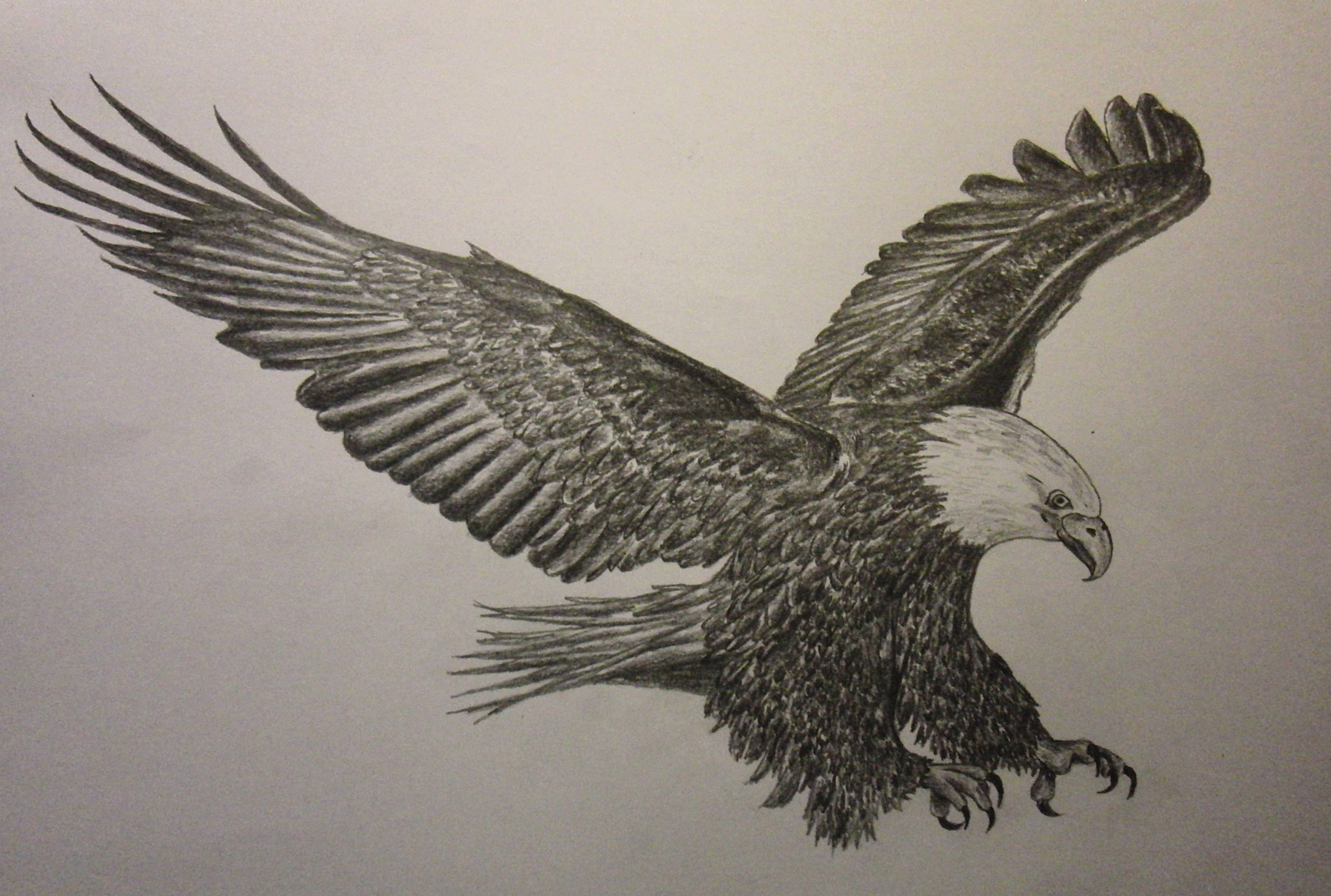 Pencil sketch of an eagle on Craiyon