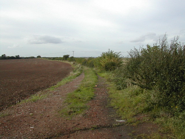 File:Farm track towards the Trent near newton Solney. - geograph.org.uk - 59225.jpg