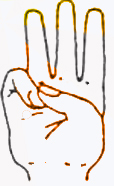 File:FingerW.jpg