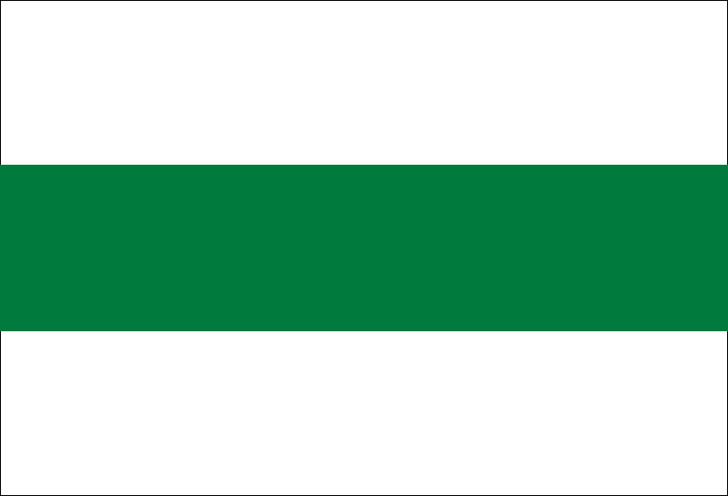 Бело зеленый флаг чей. Серо зеленый флаг. Флаг сине бело зеленый горизонтальные полосы. Синий белый зеленый. Флаг зеленый синий белый по горизонтали.