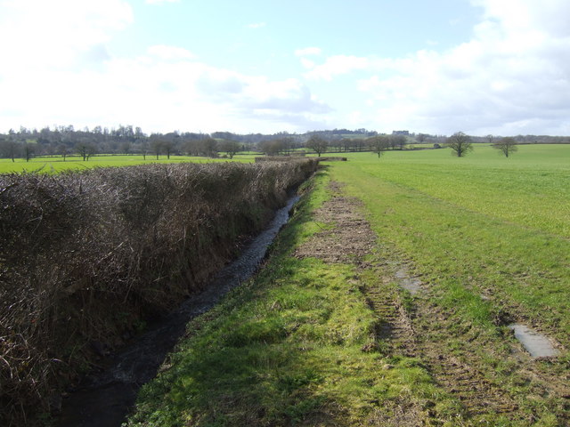 File:Flat land east of Petworth - geograph.org.uk - 351188.jpg