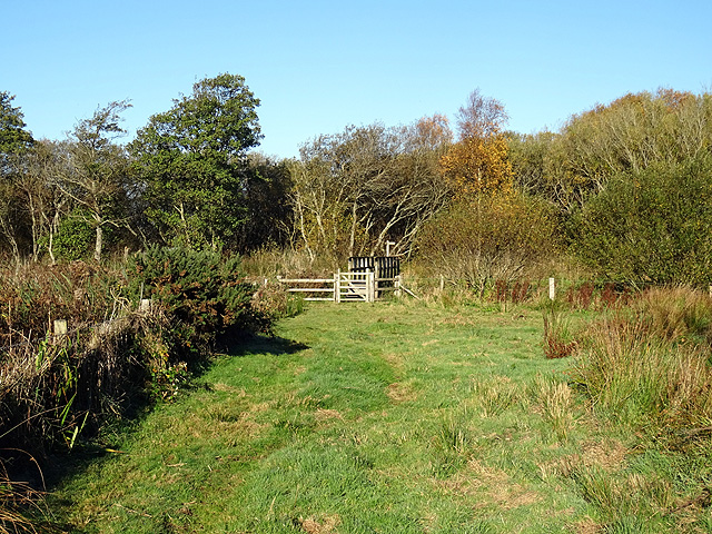 File:Footbridge and gate on the Wales Coast Path - geograph.org.uk - 4728889.jpg