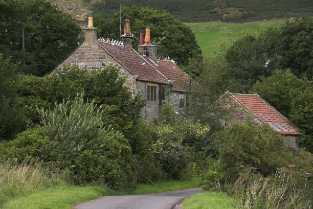 File:Hob Garth - Glaisdale - geograph.org.uk - 232662.jpg