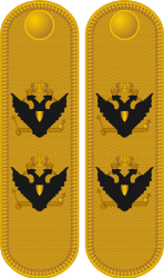 File:Imperial Russian Navy OF-7 - Vitse-admiral (1803-1807).png