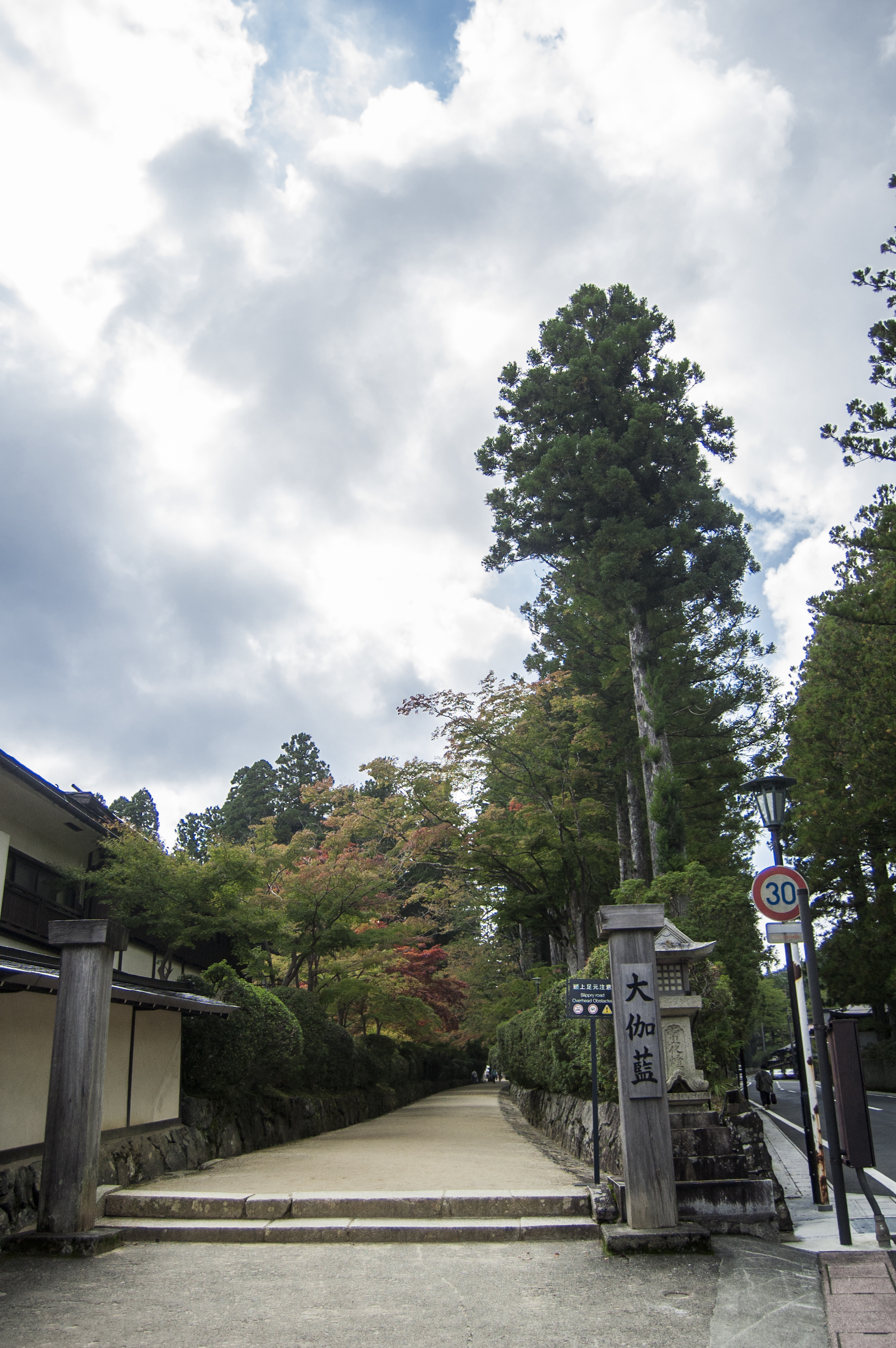 Japan 2015. Коясан гора Челябинск.