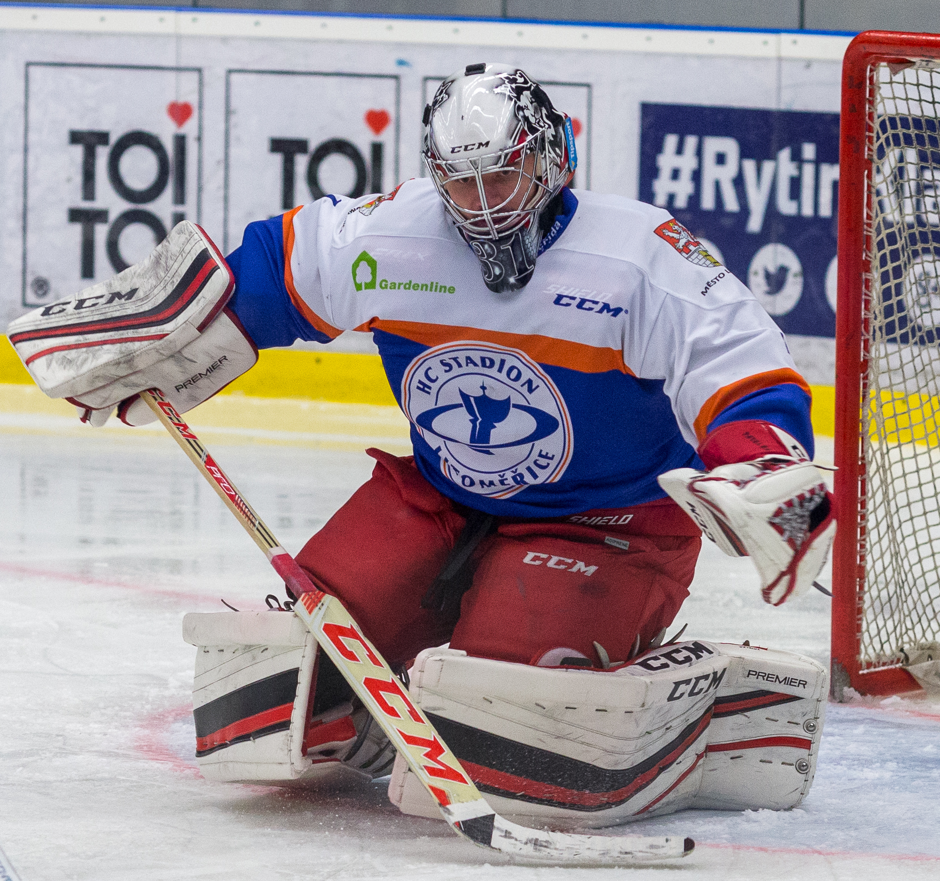 Pavelka with [[HC Stadion Litoměřice]] in 2016