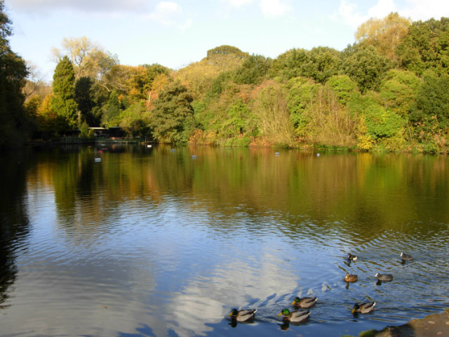 Mixed Bathing Pond, Hampstead Heath - geograph.org.uk - 1029150